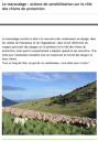Maraudage : actions de sensibilisation en alpage sur le rôle des chiens de protection (05)