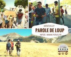 bf_imageParole-de-loup-visuel.jpg