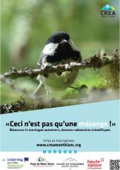 bf_imageformation_7_8_juin_2017.jpg