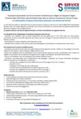 bf_imagelpo_service_civique.jpg