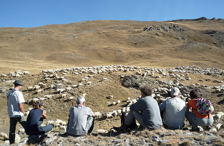 Pastoralisme
Lien vers: https://pastoralisme.educalpes.fr/wakka.php?wiki=AccueiL