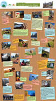 image photosmefvfvigsitepageaccueil.jpg (58.8kB)