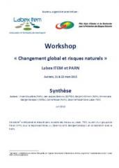 bf_imageWorkshopchangementglobaletrisquesnaturels2013.jpg