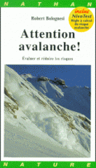 bf_imageattention-avalanches.gif