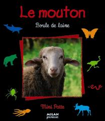 bf_imagele-mouton-boule-de-laine.jpg