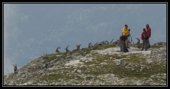 bf_imagemaraudage@frank-miramandD2A_9934_copie.jpg