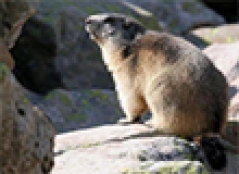 bf_imageprogramme-ete-pne.jpg