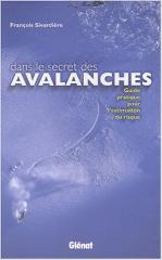 bf_imagesecret-avalanches.jpg